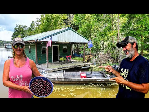 Off-grid Houseboat in Dat Swamp! Foraging for Wild Muscadines! Catching Bluegills for Supper!
