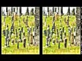 CONEJO - It All Comes Back pt.2 - SuzieVert CONEJO - It All Comes Back pt.2