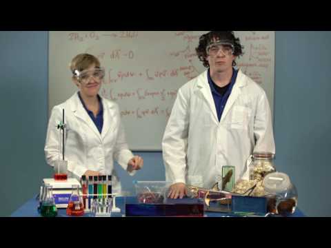 Why Do We Need Water?