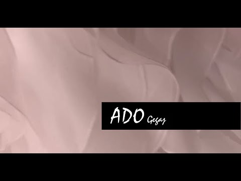 Video Placeholder