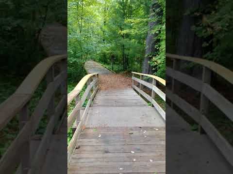 Video of the walk to 'canoe site' #1