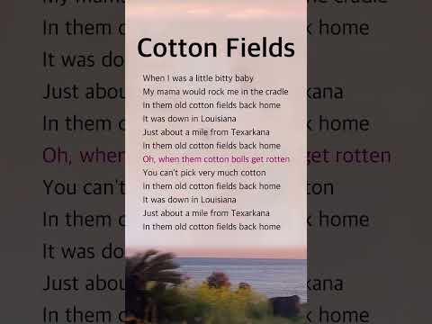 Cotton Fields | Creedence Clearwater Revival