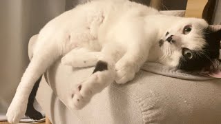 片足だらんになるうめ