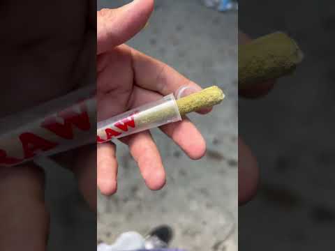 Buenos días familia #porro #420