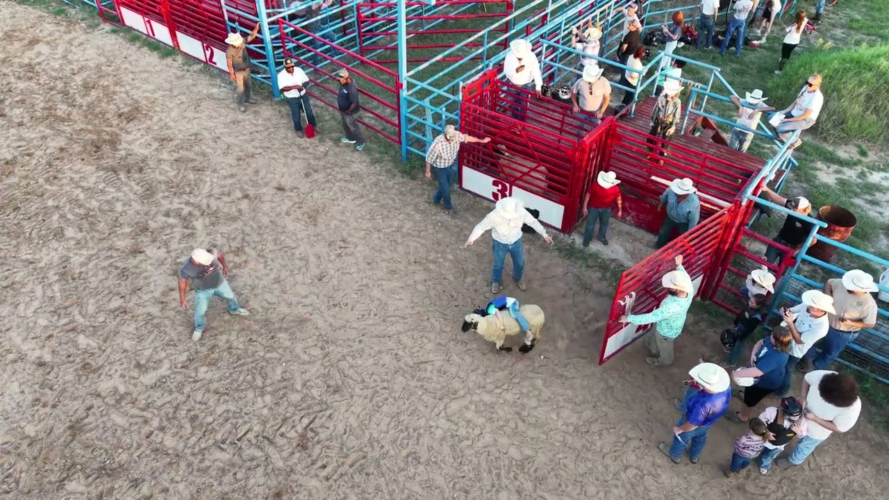 Mutton Busting 3