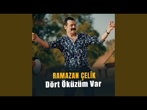 Dört Öküzüm Var
