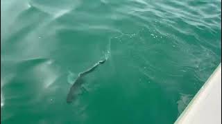 Hôtel Kasa Afrikana