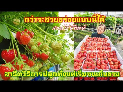 ฉันสามารถใช้ผู้หญิงลดลงค้อนของ ธ อร์ สาวร้ายตื่นเต้น