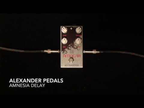 Alexander Pedals Amnesia Delay Pedal for guitar