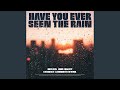 Have You Ever Seen The Rain