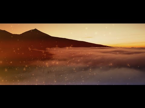 FIMUCITÉ 10 - TENTH ANNIVERSARY EDITION SPOT