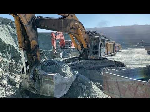 Caterpillar And Liebherr Excavators Loading Mercedes And MAN Trucks