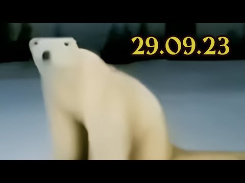 What happened on September 29, 2023? | Three AMs of terror