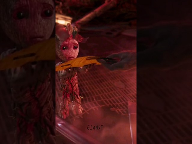 Vídeo relacionado con Marvel Guardianes de la Galaxia: Rocket & Groot cumple 16 años Sudadera