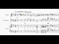 Ludwig van Beethoven - Piano trio in E-flat major Op.1 N.1 - III. Scherzo