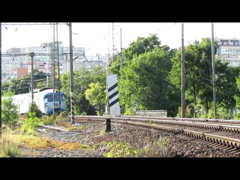 Žabotlam s rudou hvězdou v čele