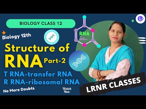 ​Structure of RNA Part-2 | T RNA-transfer RNA | R RNA-ribosomal RNA | M-RNA R-RNA T-RNA | Biology 12th | NEET | LRNR Classes 
