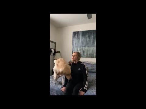 Mom Pretends Not To See Her Dog And Keeps Calling His Name To Test His Reaction