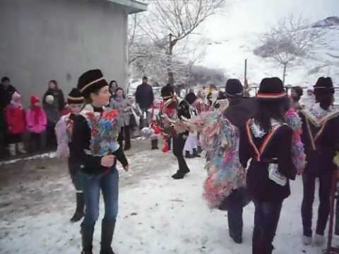 CAPRA SCOALA BAHNASENI 2011..ORGANIZATA DE CLASA A 8A