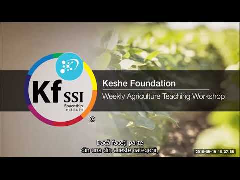 2018 09 19 PM Public Teaching in Romanian - Cursuri publice în română