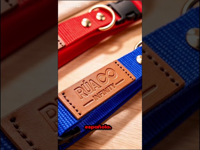 Vídeo relacionado con Collar para Perro Real Madrid Oficial con Diseño Deportivo y Ajustable | Accesorio Resistente y Elegante para Mascotas Fans del Madrid