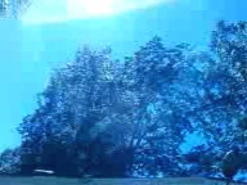 Mystery Song - Help Me Identify! Part 3