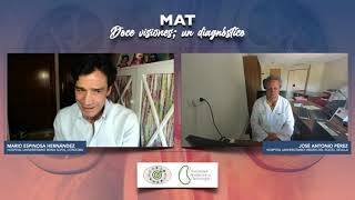 MAT  Doce Visiones; un diagnóstico José Antonio Pérez Simón