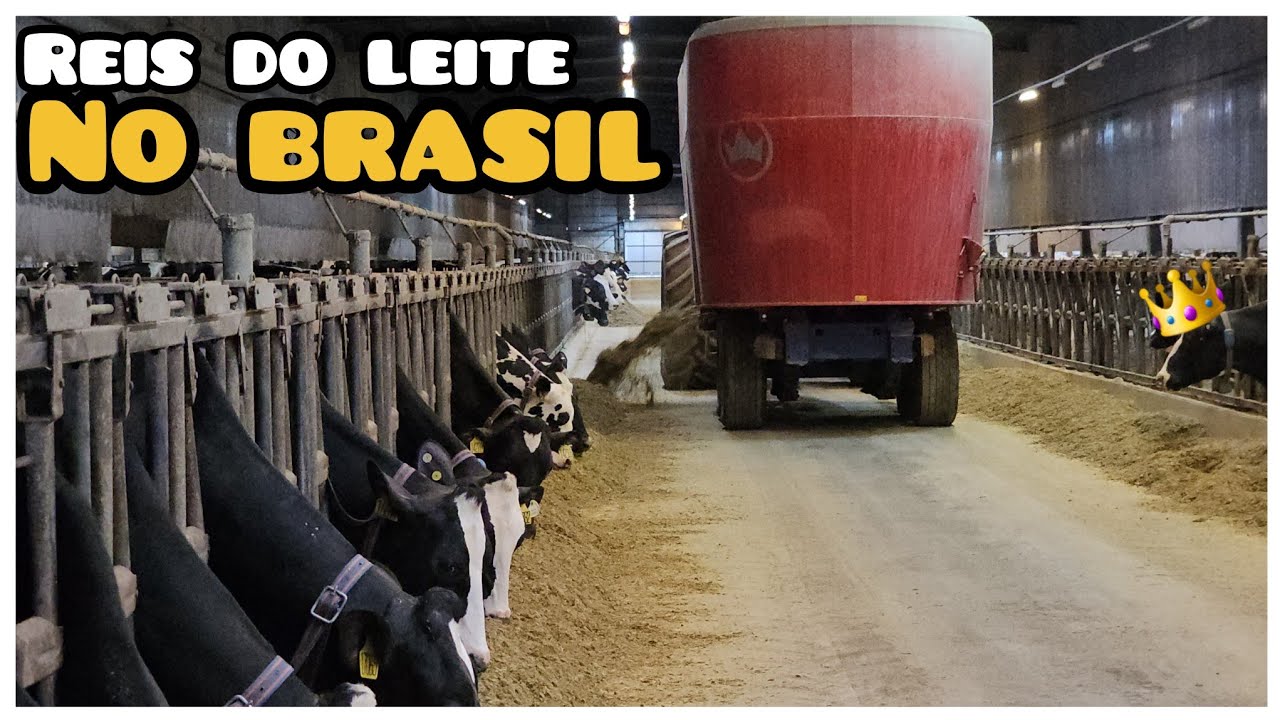 COMO PRODUZIR 100MIL LITROS DE LEITE POR DIA ?