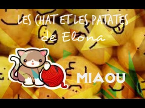 les chats et les patates