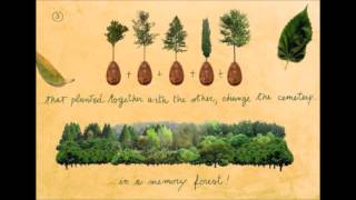 BECOME A TREE WHEN YOU DIE