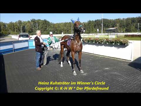 Traber  Gelsentrab Heinz Kuhsträter  nach dem Training im Stall  01.10.2015