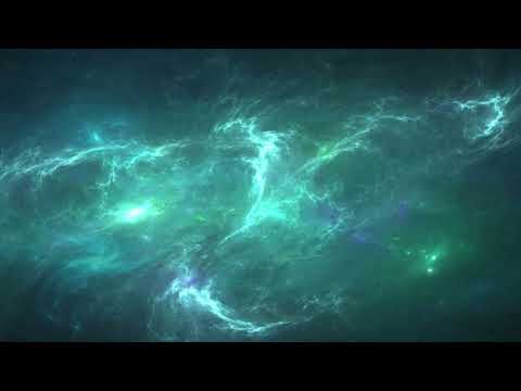 Ando x Kuiters - Gypsy