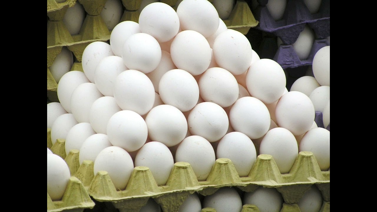 Watch video #egg rates#chennai and namakkal egg rates 29/01/2023#Today egg rates# business tamil Now #egg rates#chennai and namakkal egg rates 29/01/2023#Today egg rates# business tamil