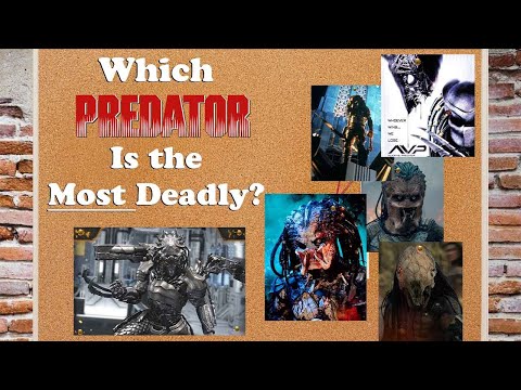Which Predator is the Most Deadly