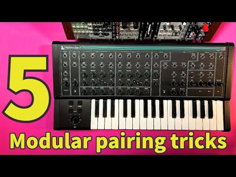 5 MORE PWM Malevolent Modular Pairing Ideas to Spice Up your Sound!