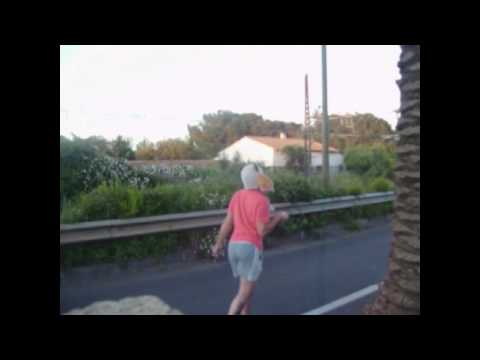 LA VACHE ELLE EST BARJO !!!