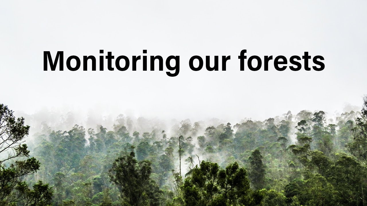 Introducing the Global Forest Review