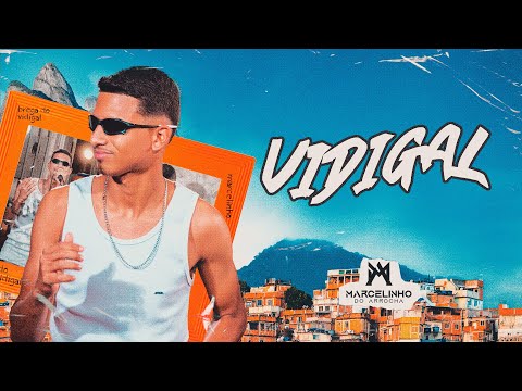 Marcelinho do Arrocha - Brega do Vidigal - Vidigal - (AudioVisual)