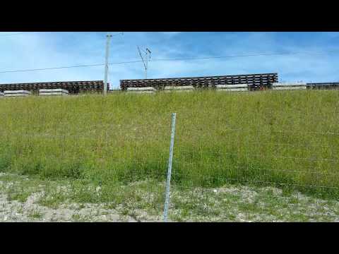 Lgv sea  blanzac juin 2015(1)