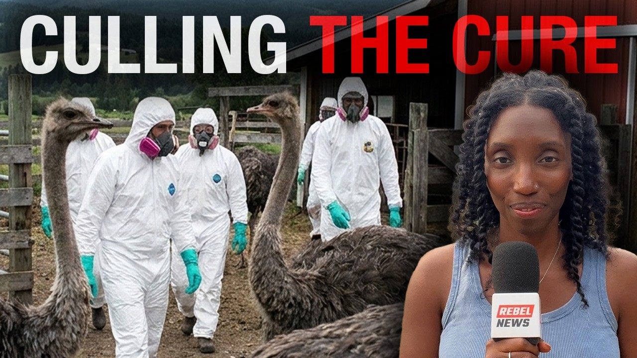 We’re Bringing You the Truth About the Ostrich Farm The Liberals Tried to Destroy