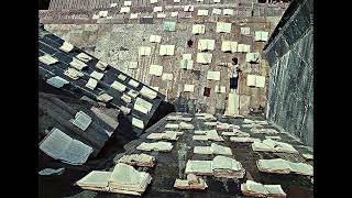 Loose Talk Costs Lives (deeper) - Bee Gees