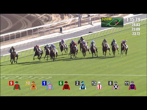 30/1/2022 (382) Crossford - V Borges