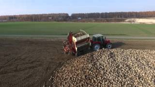 【2015】　ビート収穫　Sugar Beet Harvest　ニチノーRX-660