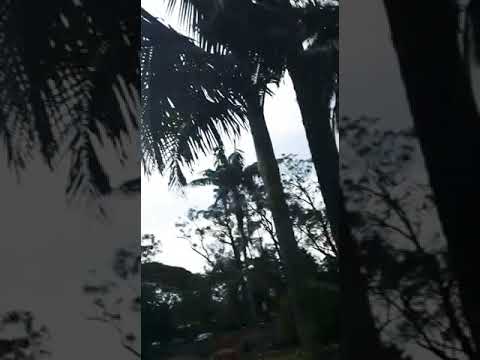 Pega essa dupla🔥 "mc gw vai fodendo com força"