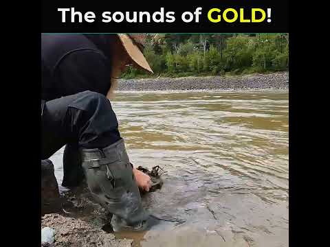 The sounds of GOLD!