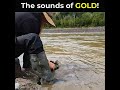 The Sounds Of GOLD