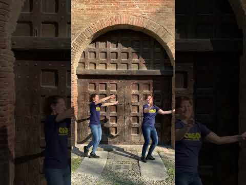 Il ballo dell'estate - Vamos Adelante!