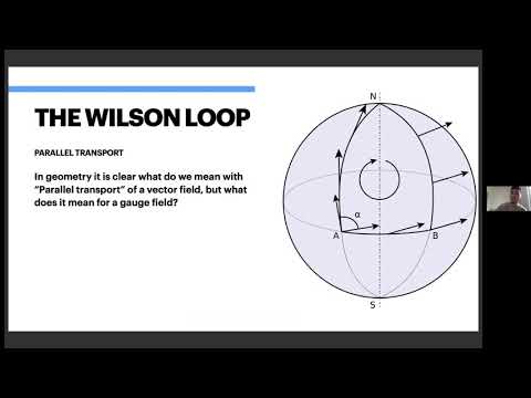 Wilson Loops: A window to the unknown by Alan Rios (ICCUB)