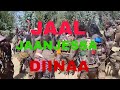 JAAL JAANJESSA DIINAA NEW OROMO MUSIC 2024