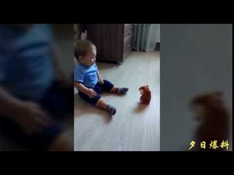 Youtube Video Preview
